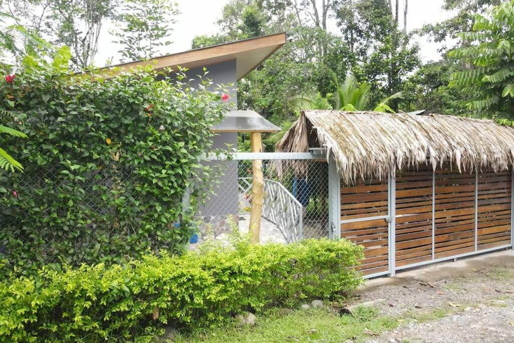 Appartement Casa Noil, Beautiful Eco House Near The Beach! à Puerto Viejo de Talamanca Extérieur photo